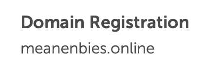 a screenshot of NameCheap reading: Domain Registration meanenbies.online